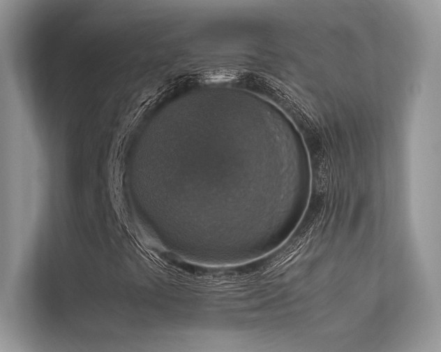 X0000113371441200909151350