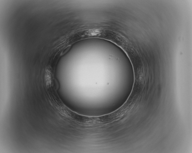X0000113371442200909151350