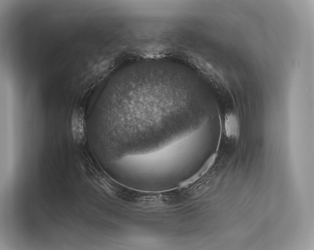 X0000113371444200909151350