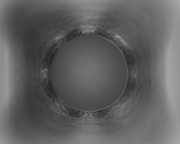 X0000113371445200909151350
