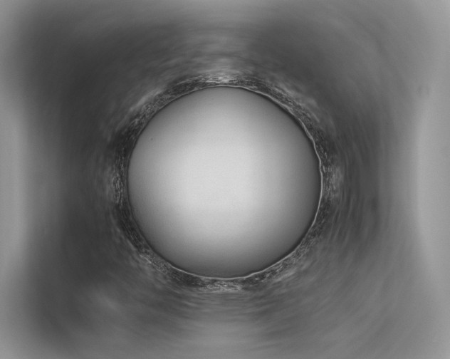 X0000113371446200909151350