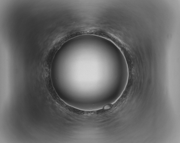 X0000113371447200909151350