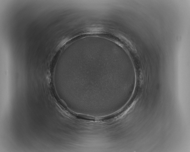 X0000113371449200909151350