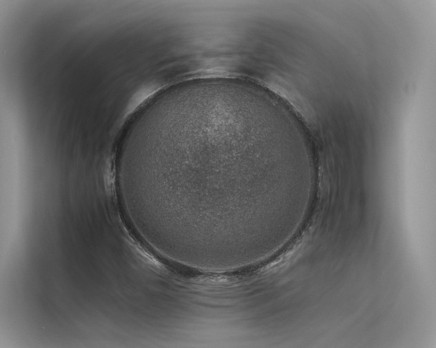 X0000113371450200909151350