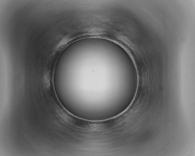 X0000113371451200909151350