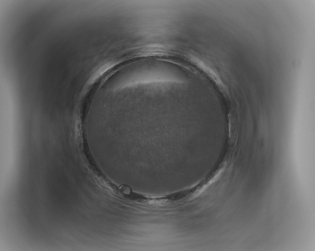 X0000113371453200909151350