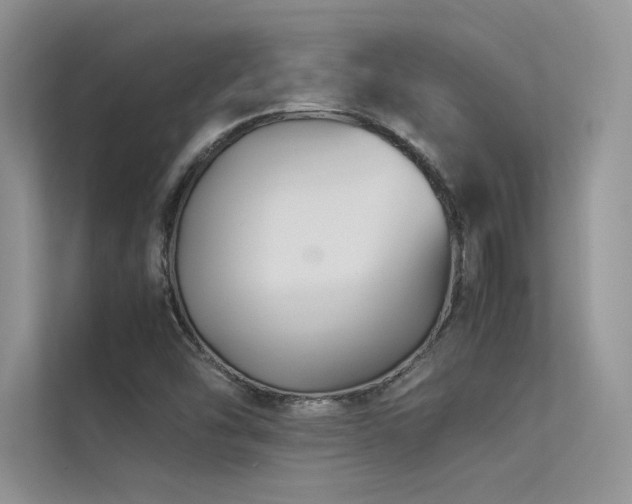 X0000113371454200909151350