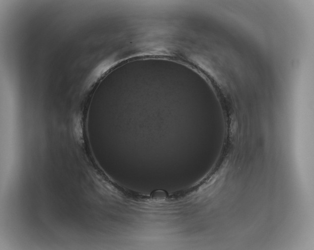 X0000113371455200909151350