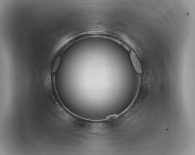X0000113371456200909151350