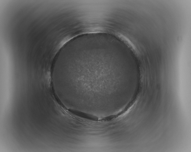 X0000113371457200909151350