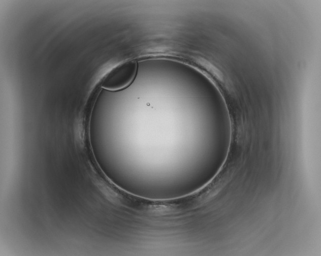X0000113371458200909151350