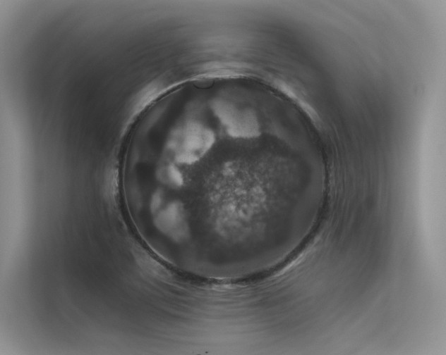 X0000113371459200909151350