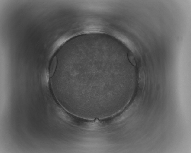 X0000113371461200909151350