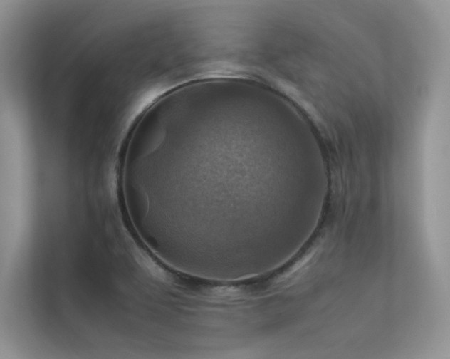 X0000113371463200909151349