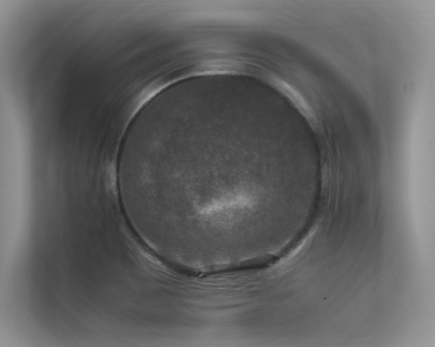 X0000113371465200909151349
