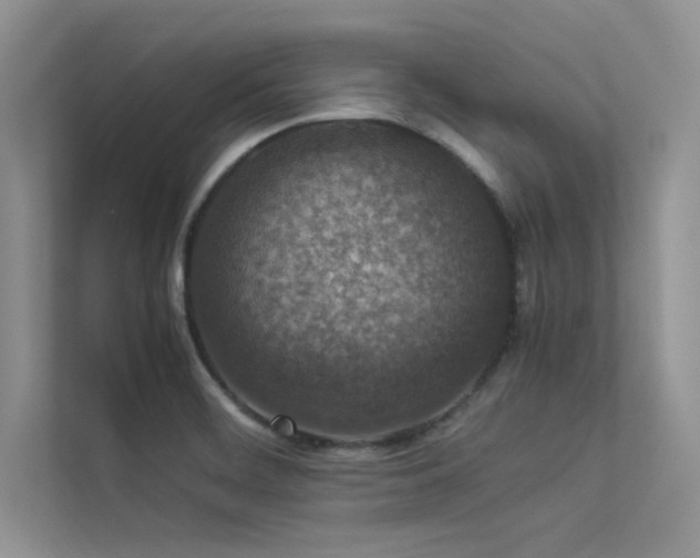 X0000113371468200909151349