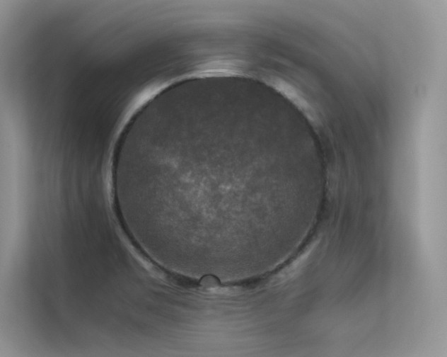 X0000113371469200909151349