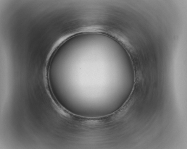 X0000113371470200909151349