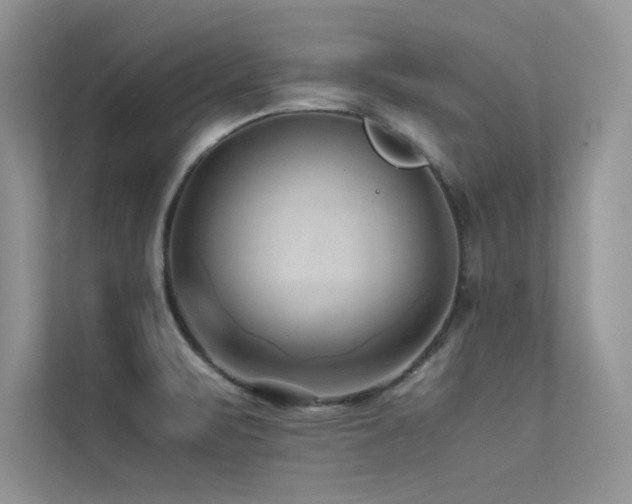 X0000113371471200909151349