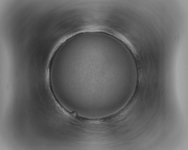 X0000113371472200909151349