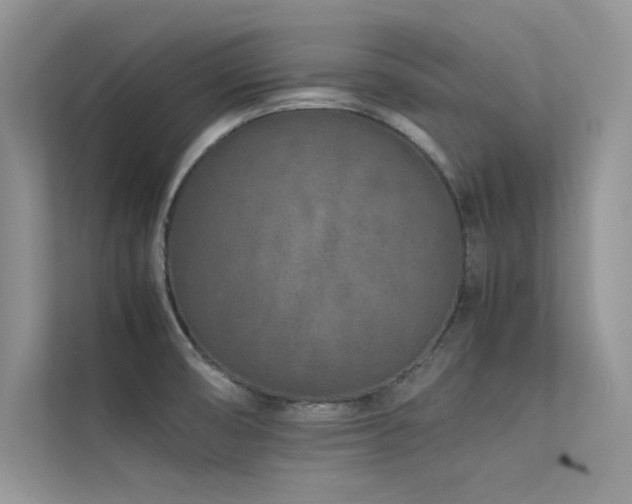 X0000113371474200909151349