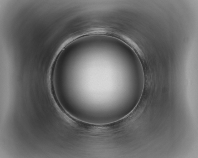 X0000113371475200909151349