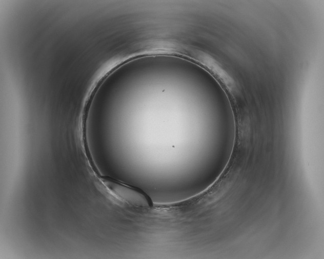 X0000113371480200909151349