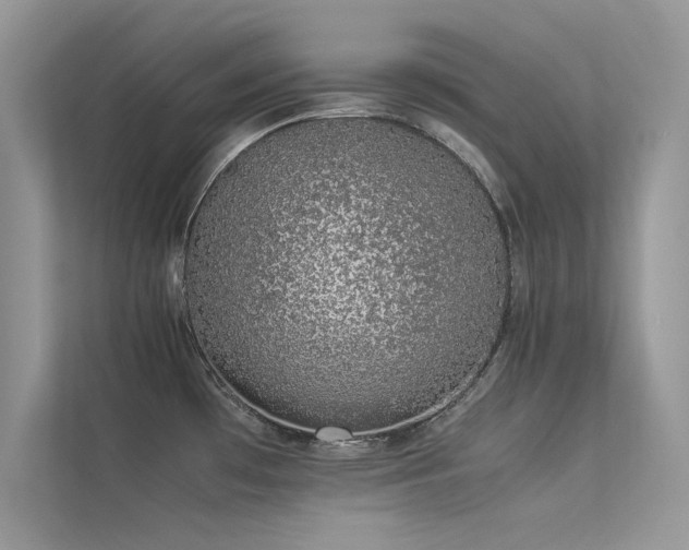 X0000113371481200909151349