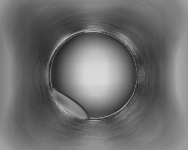 X0000113371484200909151349