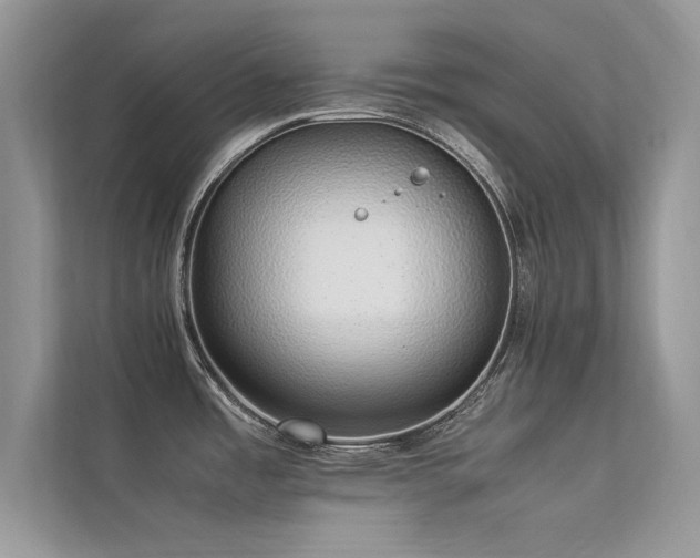 X0000113371485200909151349