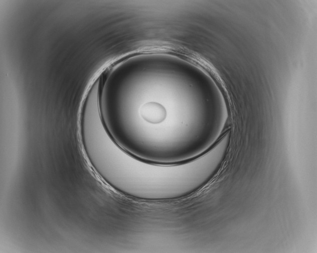 X0000113371488200909151349
