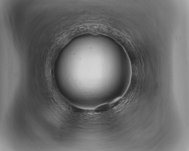 X0000113371489200909151349