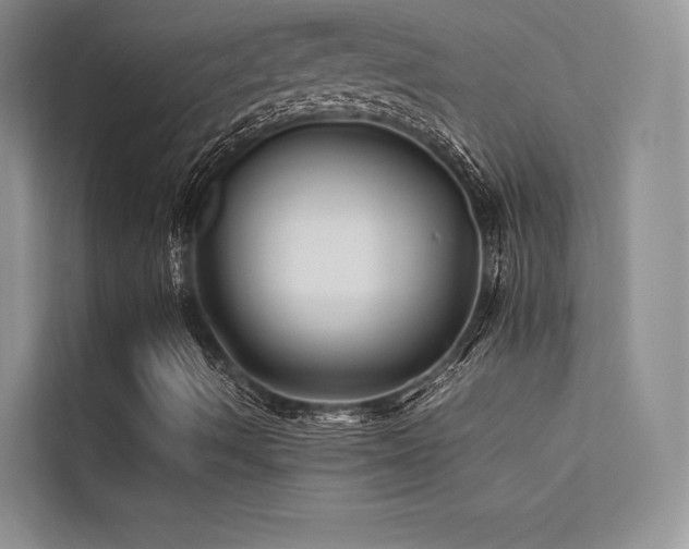 X0000113371490200909151349