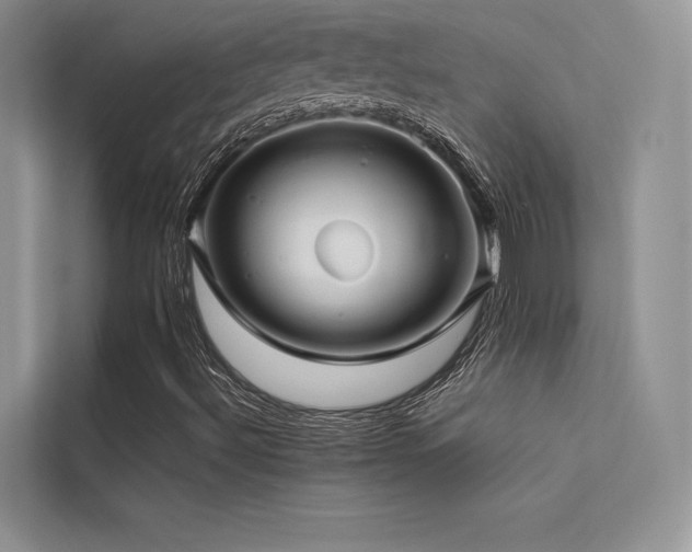 X0000113371492200909151349