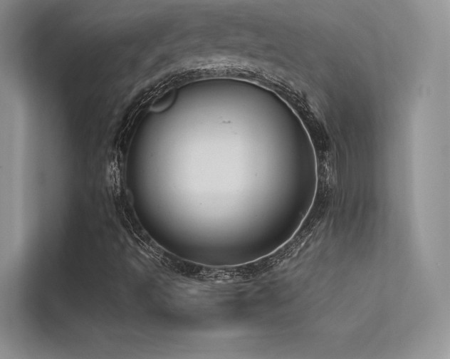 X0000113371493200909151349