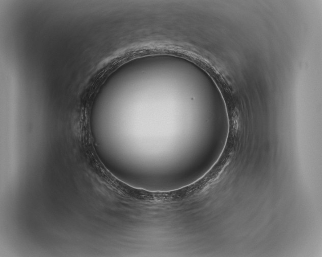 X0000113371494200909151349