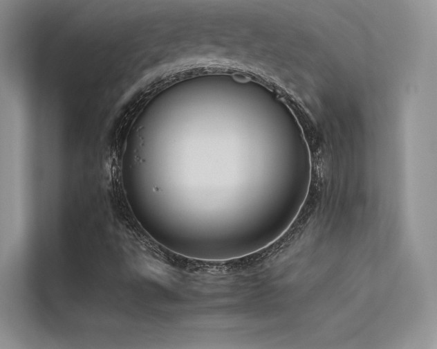 X0000113371495200909151349