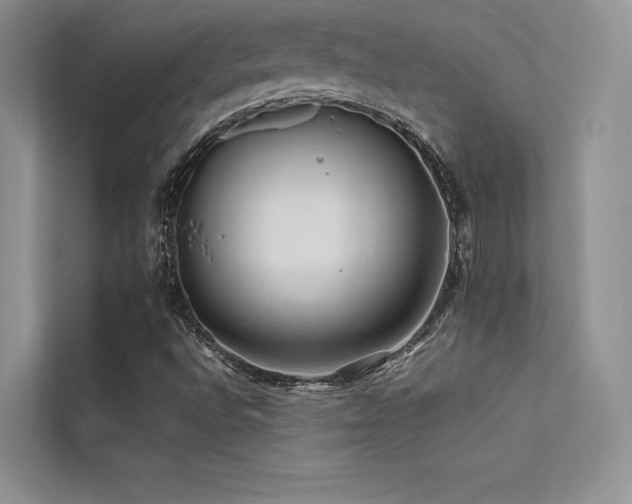 X0000113371496200909151349