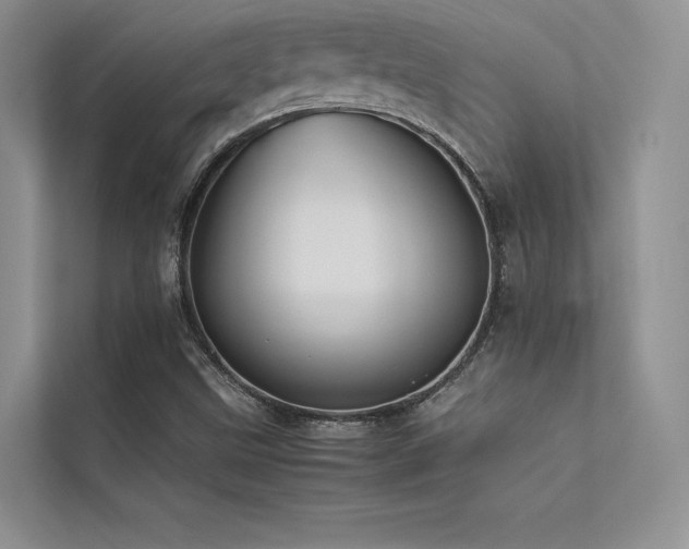 X0000113371499200909151349