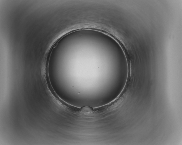 X0000113371500200909151349