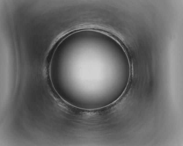 X0000113371501200909151349