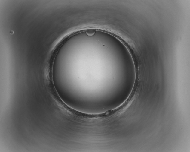 X0000113371502200909151349