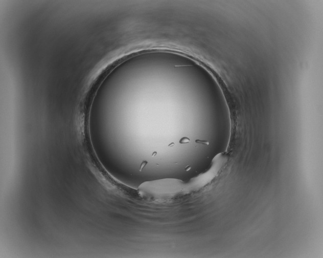 X0000113371503200909151349