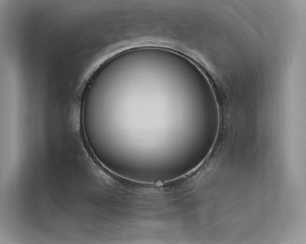 X0000113371504200909151349