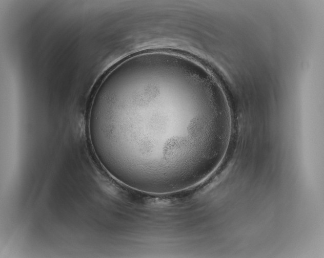 X0000113371505200909151349