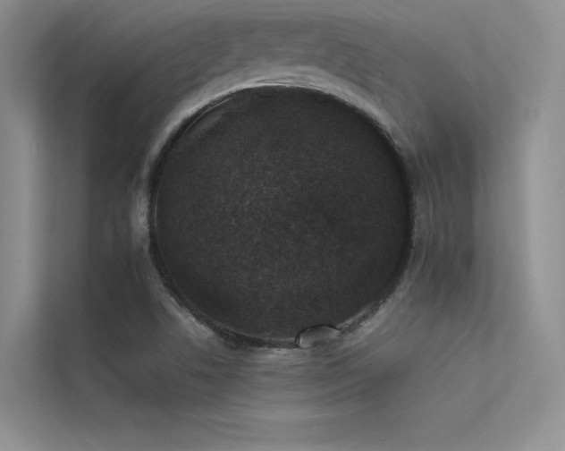 X0000113371506200909151349