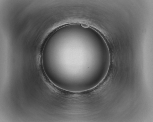 X0000113371507200909151349