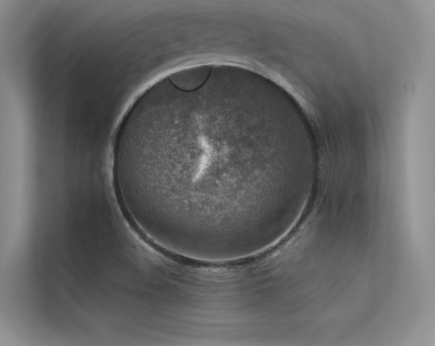 X0000113371508200909151349