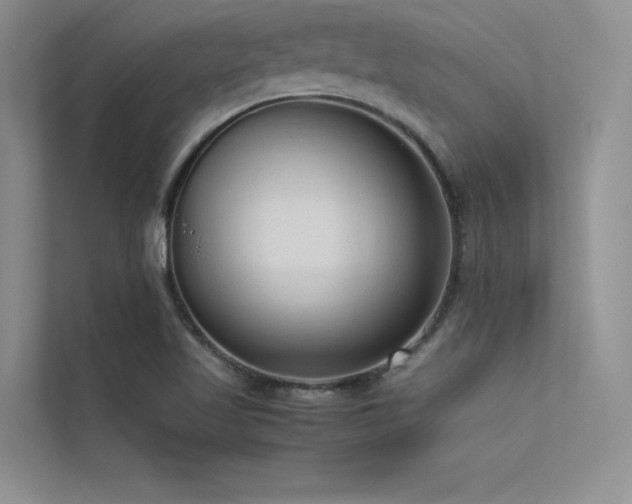 X0000113371509200909151349