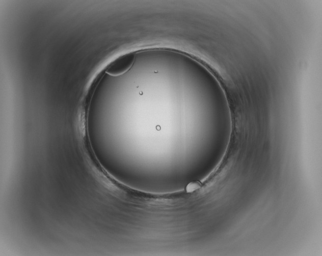 X0000113371510200909151349